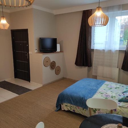 Redkot 40A Apartman Zielona Góra Kültér fotó